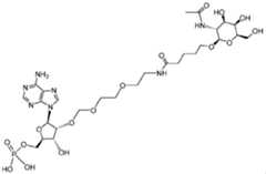 Figure imgf000013_0001