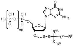 Figure imgf000221_0002