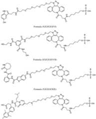 Figure imgf000163_0001