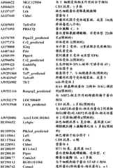 Figure BDA0000057170160000721