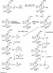 Figure imgf000052_0001