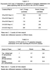 Figure imgf000045_0001