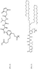 Figure imgf000114_0001