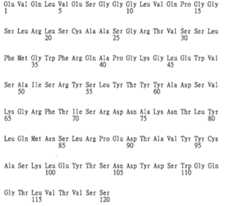 Figure 108126642-A0202-12-0161-332