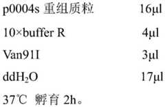 Figure BDA0002064224340000131