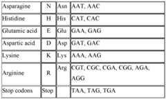 Figure imgf000055_0001