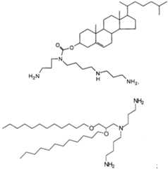 Figure imgf000017_0001