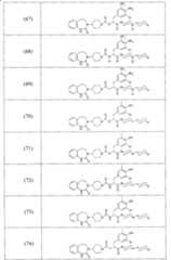 Figure A2006800095860019C1