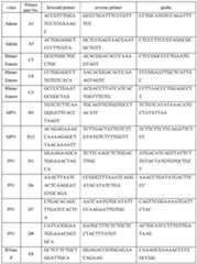 Figure imgf000021_0001
