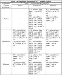 Figure imgf000029_0001