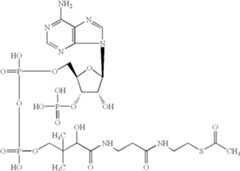 Figure US06635782-20031021-C00016