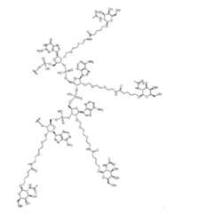 Figure imgf000011_0002