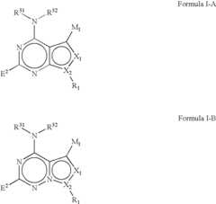 Figure US08476282-20130702-C00053