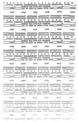 Figure imgf000080_0001