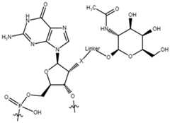 Figure imgf000059_0001