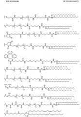 Figure imgf000014_0001