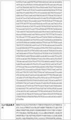 Figure BDA0002508391090000831