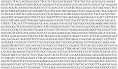 Figure PCTCN2022073808-appb-000072