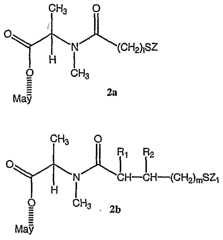 Figure imgf000008_0001