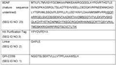 Figure imgf000049_0001