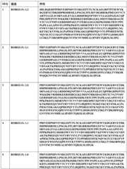 Figure BDA0002298305510000931