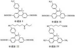 Figure 937356DEST_PATH_IMAGE020