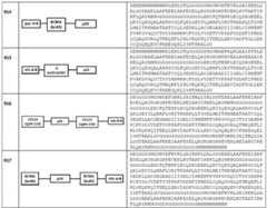 Figure BDA0002574919900001041