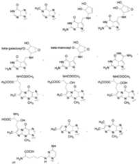 Figure imgf000111_0001