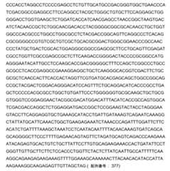 Figure 2022153375000033