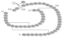 Figure imgf000044_0001