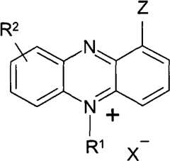 Figure FPA00001263293800011