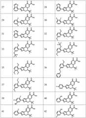 Figure FDA0003141290400000081