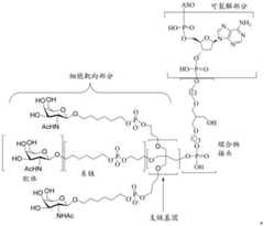 Figure BDA0003357312860000101