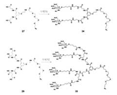 Figure 106103567-A0304-12-0149-146