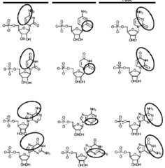 Figure imgf000093_0001