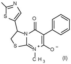 Figure imgf000002_0001