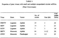 Figure imgf000022_0001
