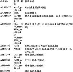 Figure BDA0000057170160002252