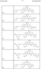 Figure imgf000023_0001