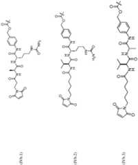 Figure imgf000105_0001