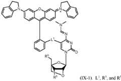 Figure imgf000073_0002