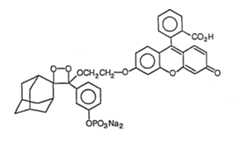 Figure imgf000066_0002