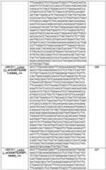 Figure imgf000145_0001