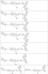 Figure PCTCN2022073822-appb-100192