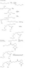 Figure US06358490-20020319-C00036