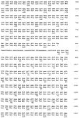 Figure imgf000057_0001