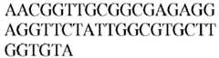 Figure imgb0419
