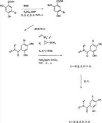 Figure S2006800208056D00661