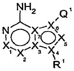 Figure imgf000004_0001