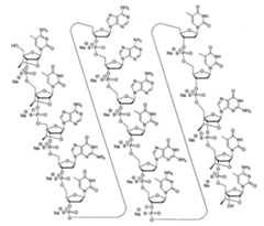 Figure 108131991-A0202-12-0032-14